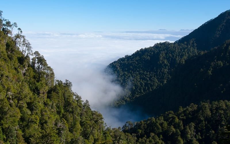 merrell futangue challenge